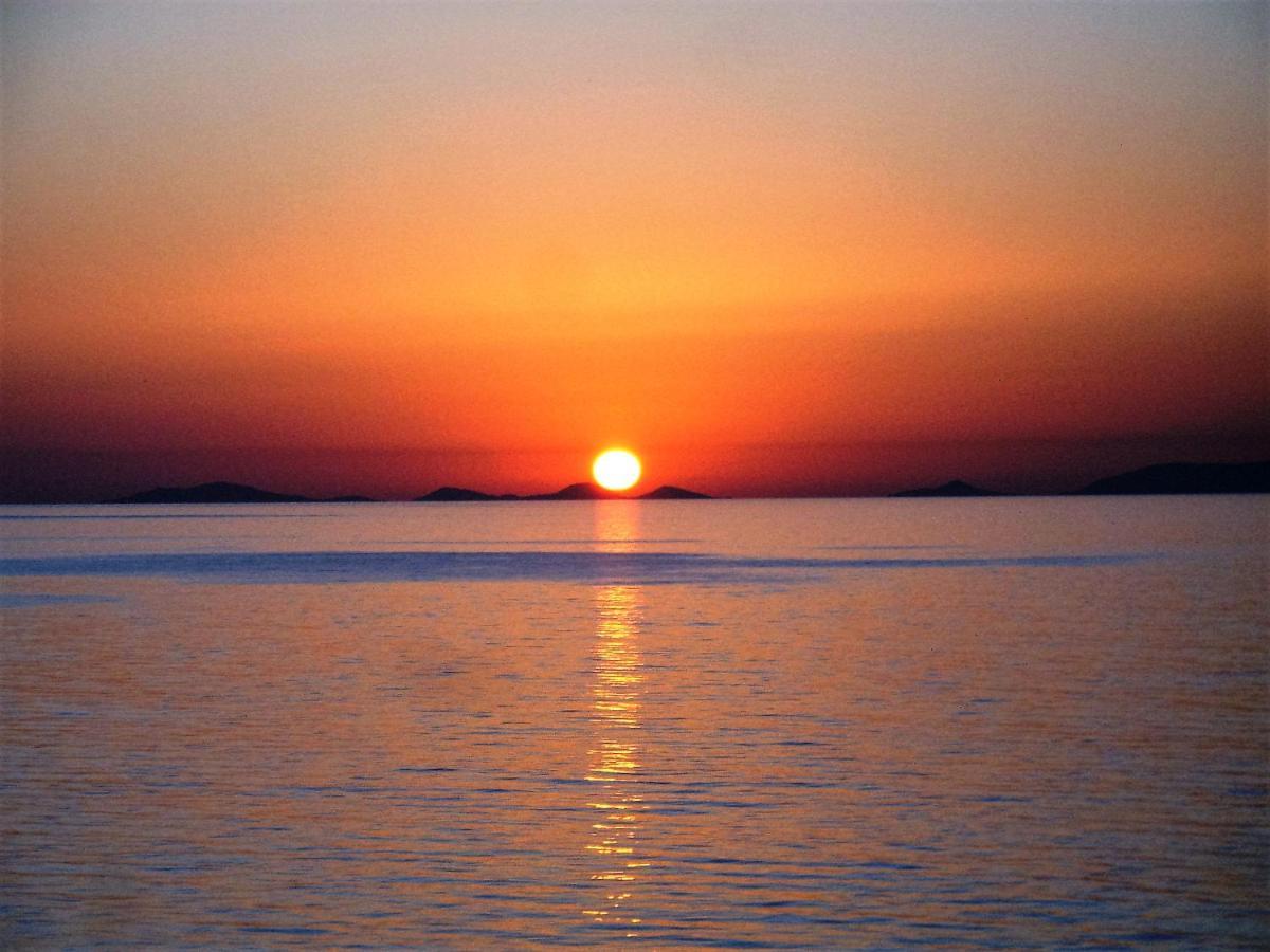 Alba Stupendo Appartamento In Villa Fronte Mare - Golfo Dell'Asinara - Internet Free فاليدوريا المظهر الخارجي الصورة